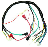 Wiring harness for dirt bike with electric starter -dirt-bike-store