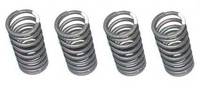 Set of 4 hard springs for 4-valve cylinder head DAYTONA ANIMA 150/160/190/212/218CC-dirt-bike-store