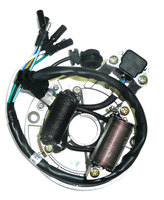 Stator with 2 coils for pit bike engine LIFAN, YCF, APOLLO,-dirt-bike-store-Frame parts