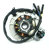 Stator mini flywheel YX -with light output--dirt-bike-store-Frame parts